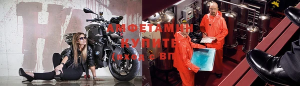 молекула духа Арсеньев