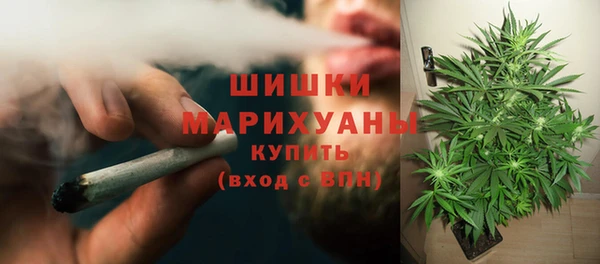 круглые Аркадак