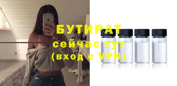 молекула духа Арсеньев