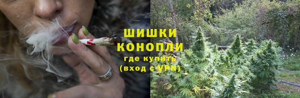 круглые Аркадак