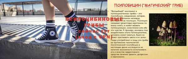 молекула духа Арсеньев