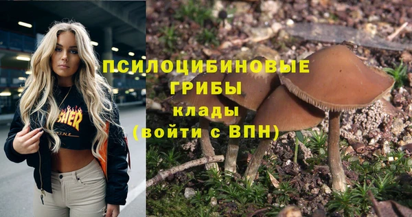 молекула духа Арсеньев
