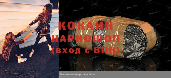 молекула духа Арсеньев