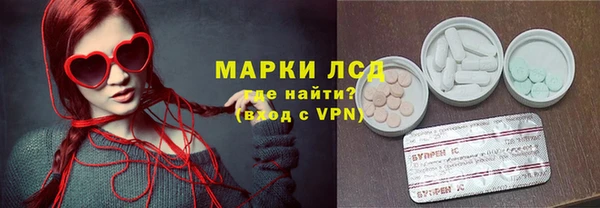 молекула духа Арсеньев